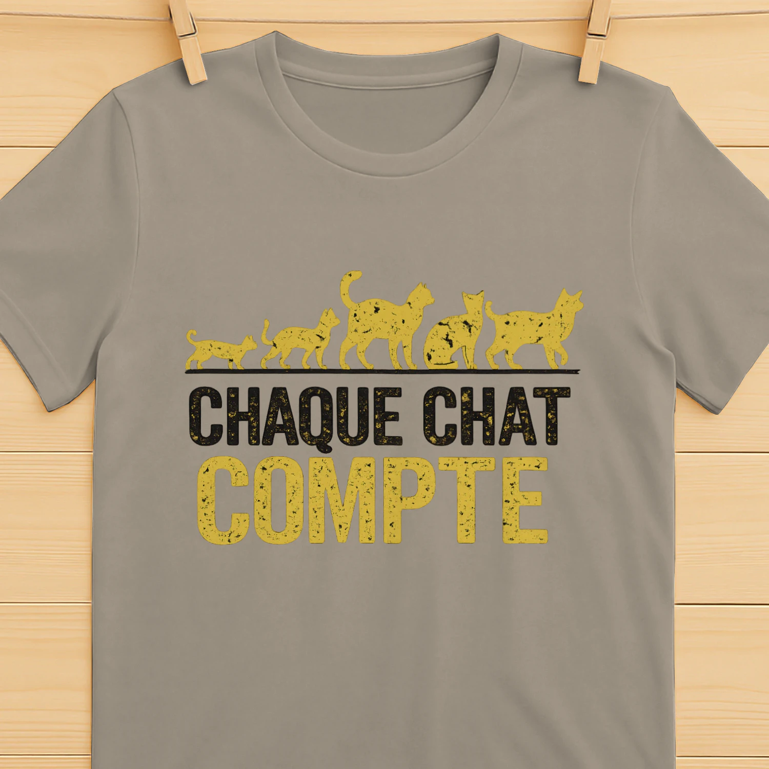 Chaque Chat Compte⭐