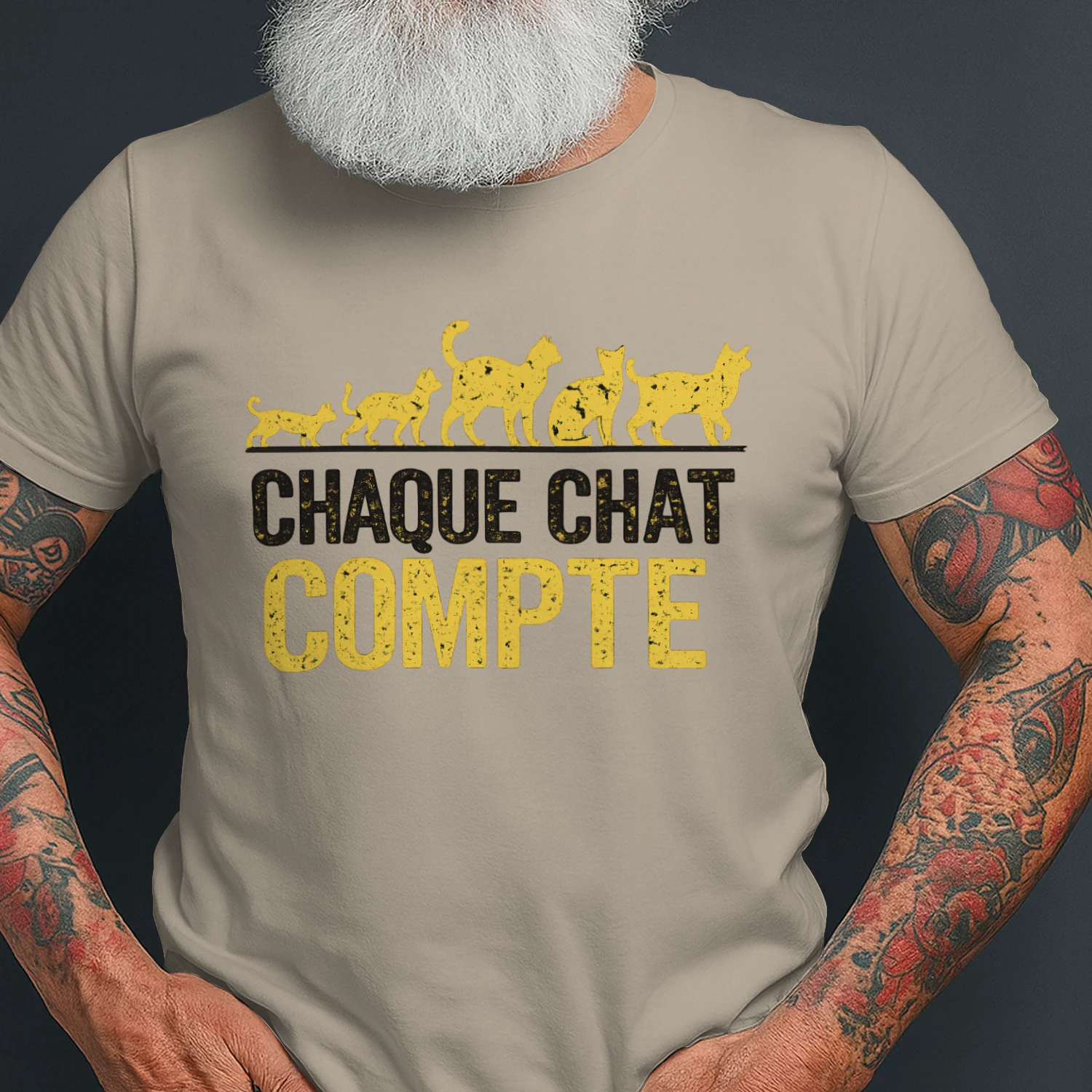 Chaque Chat Compte⭐
