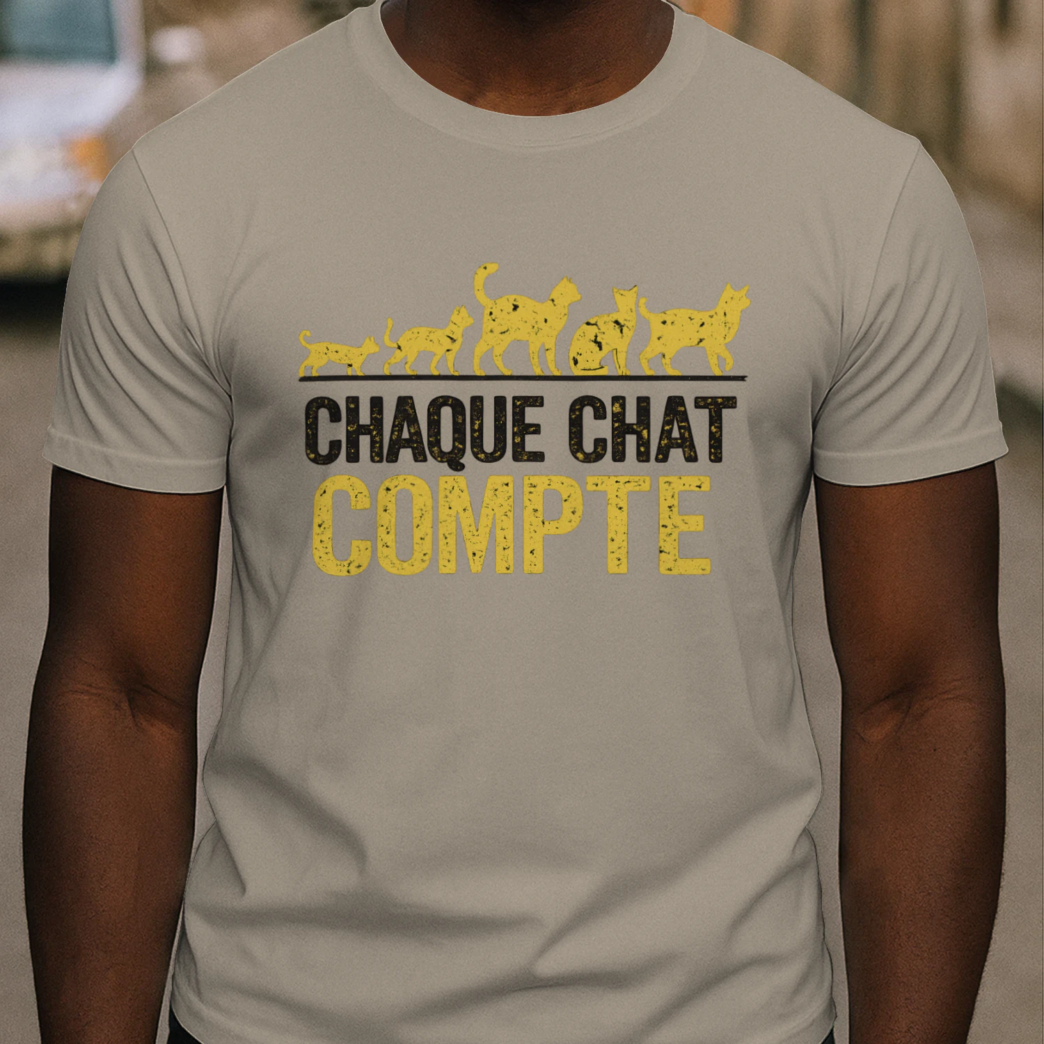 Chaque Chat Compte⭐