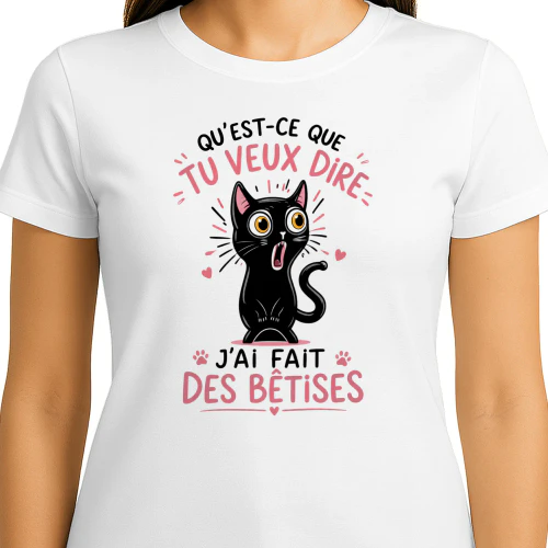 J'ai Encore Fait Une Bêtise