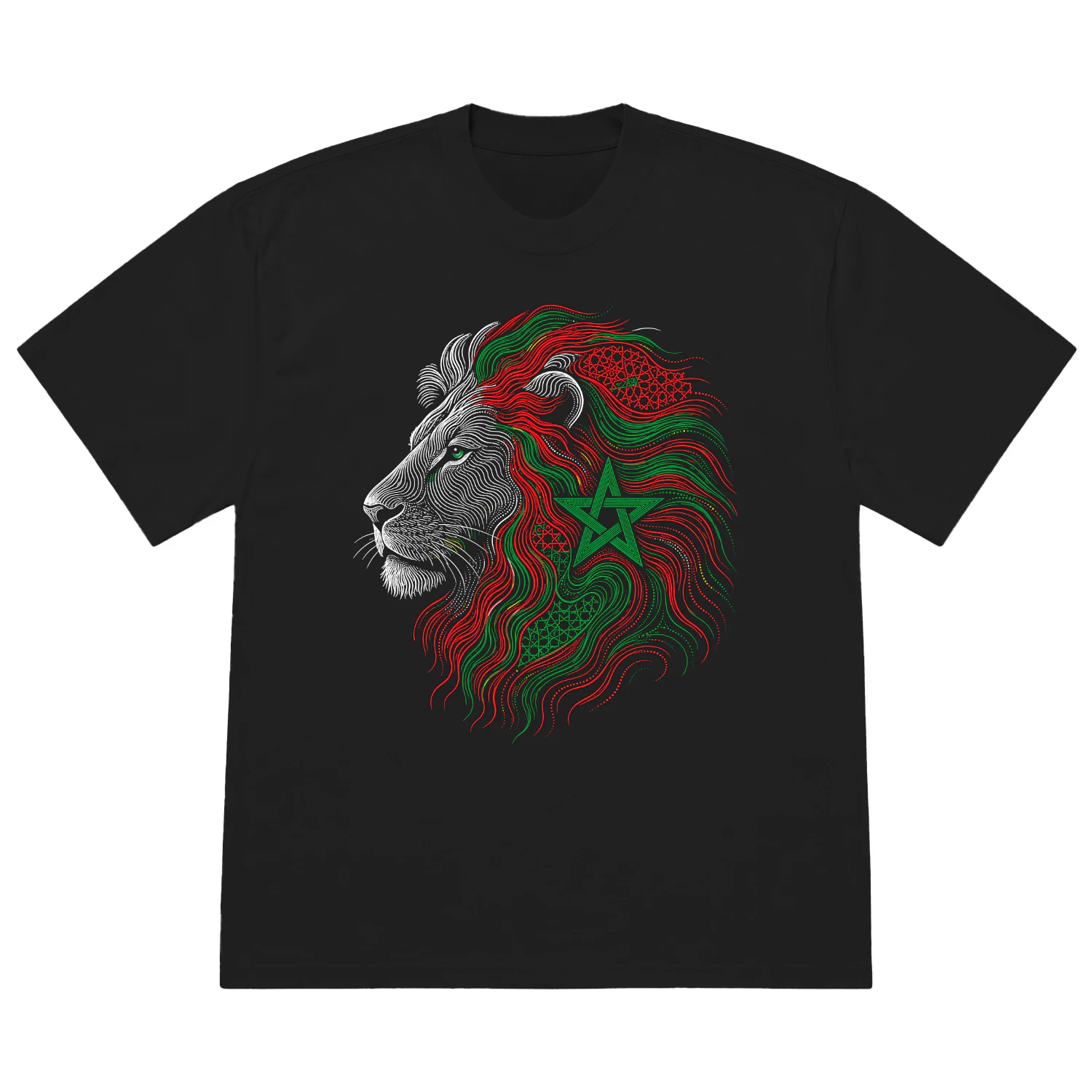 Atals lions morocco .