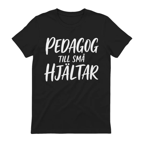 SE TEACHER FOR LITTLE HEROES