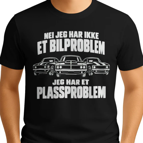 NV I Don't Have a Car Problem, I Have a Space Problem 