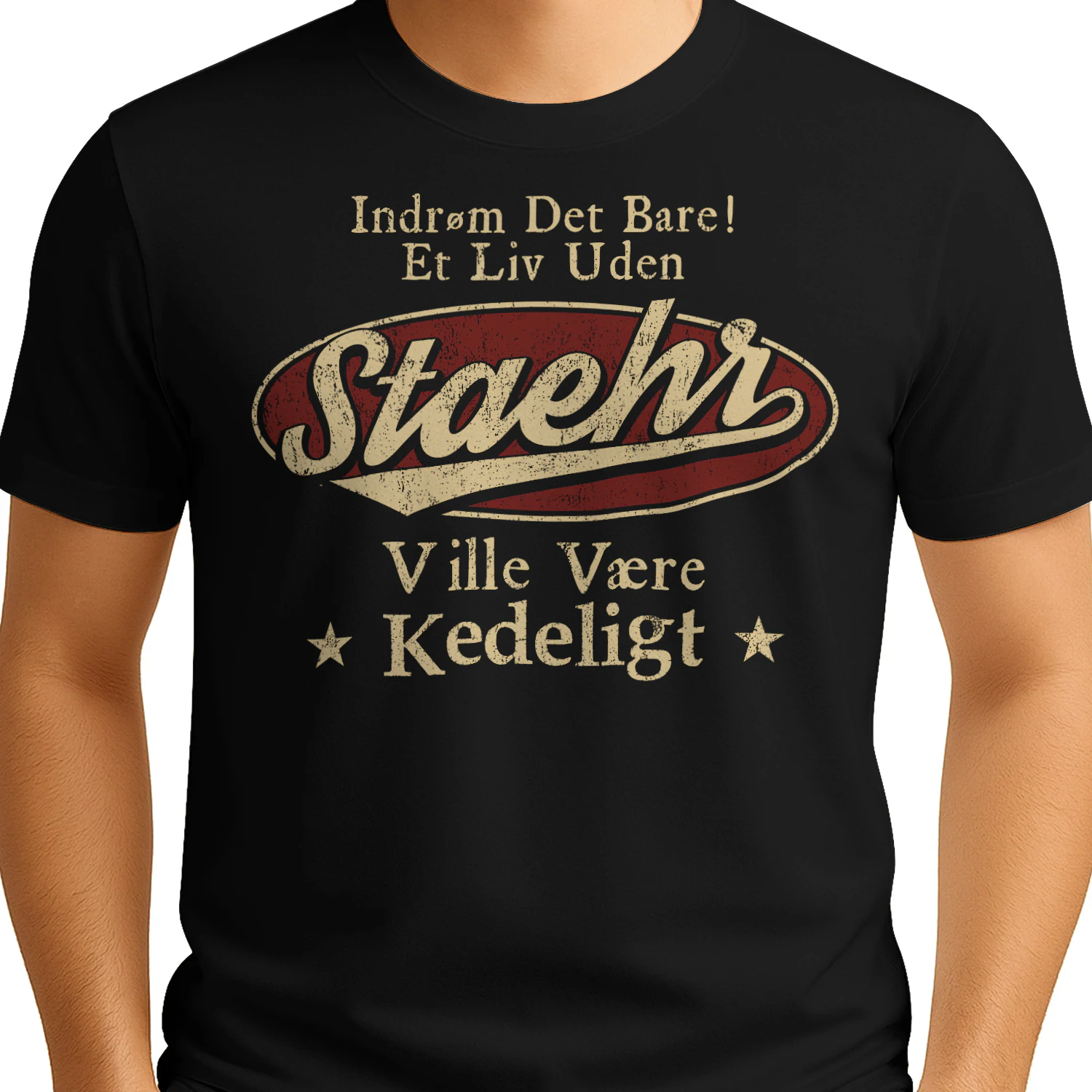 T1DM1321 Stæhr DK02