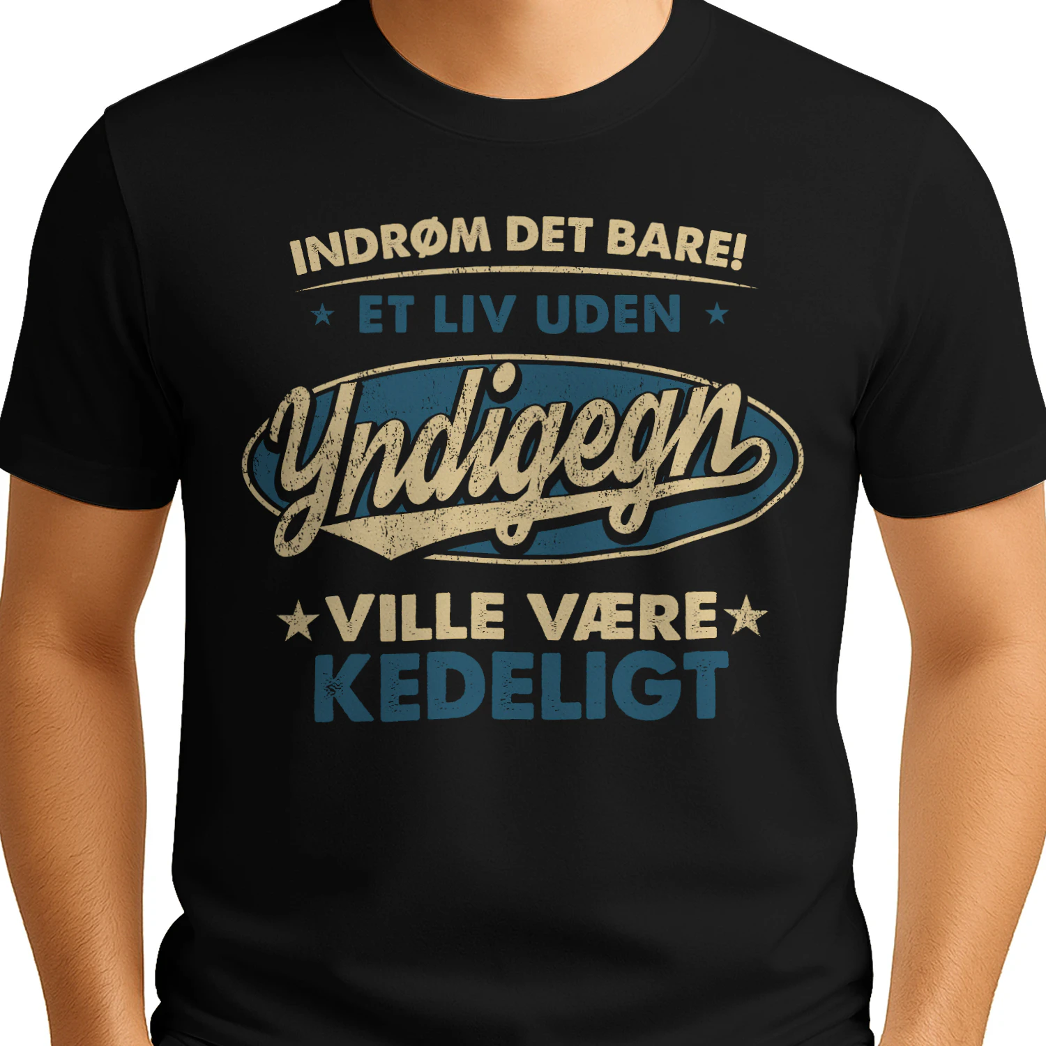 T1DM6885 Yndigegn DK04