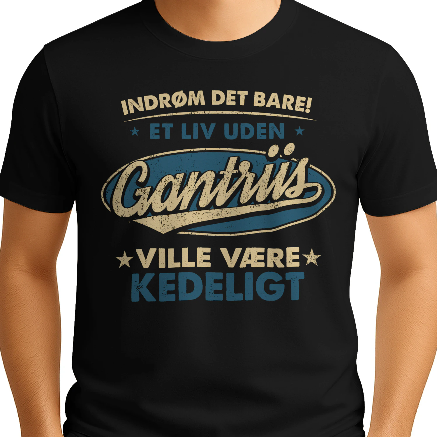 T1DM4671 Gantriis DK04