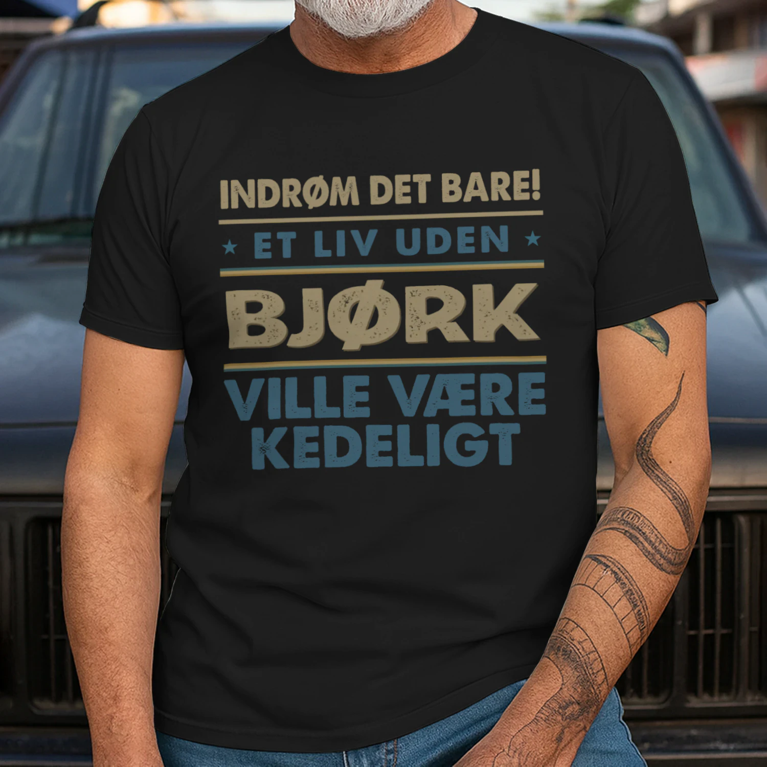 T1DM2520 Bjørk DK03