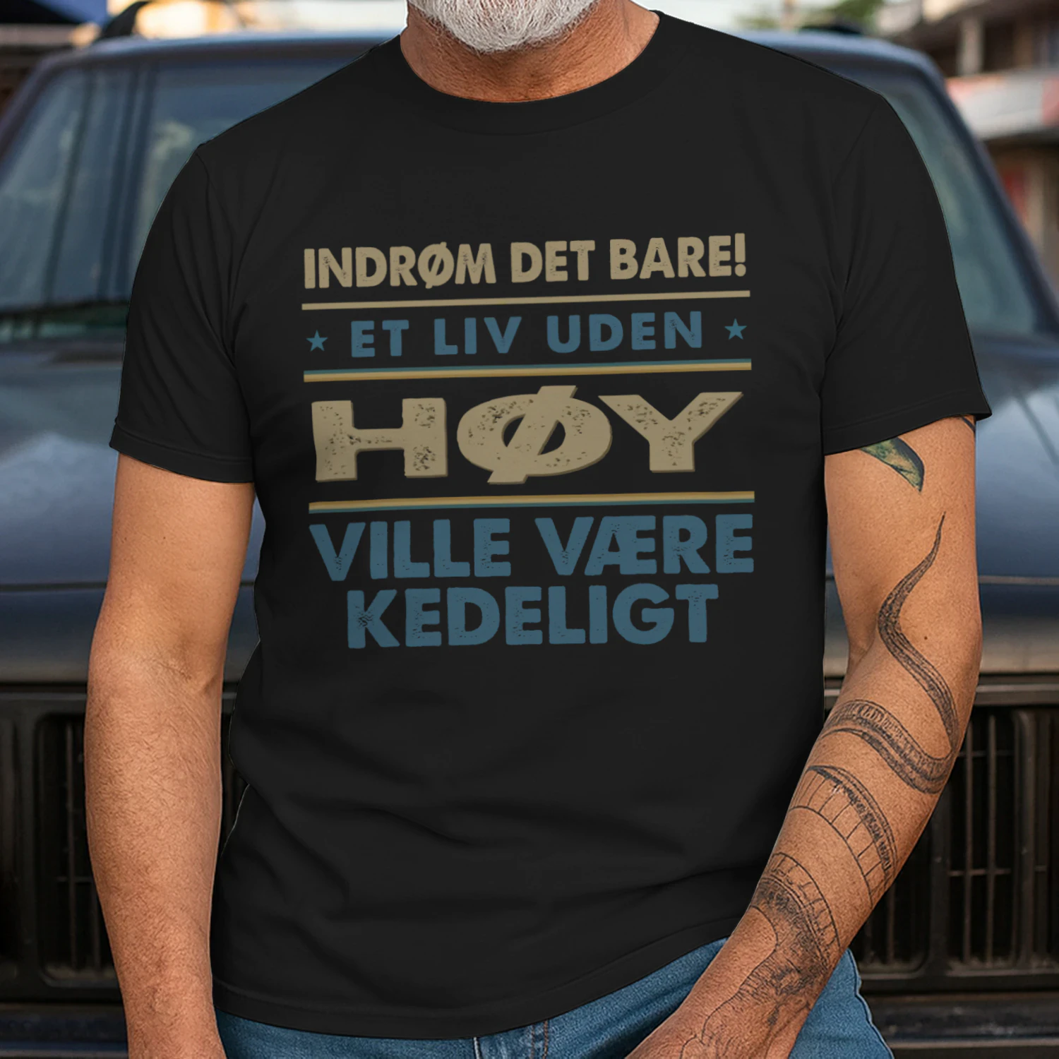 T1DM1196 Høy DK03