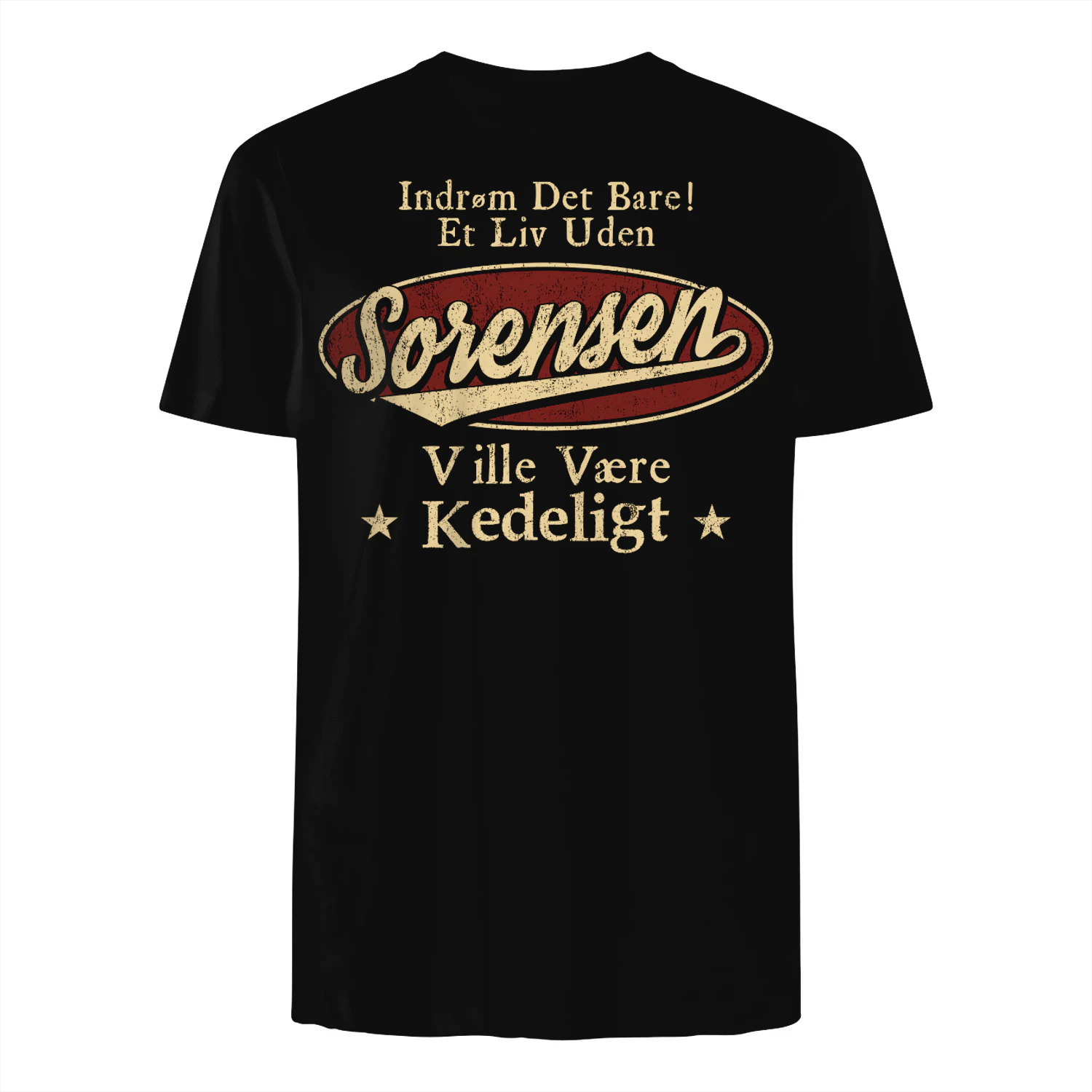 T1DM0113 Sorensen DK02