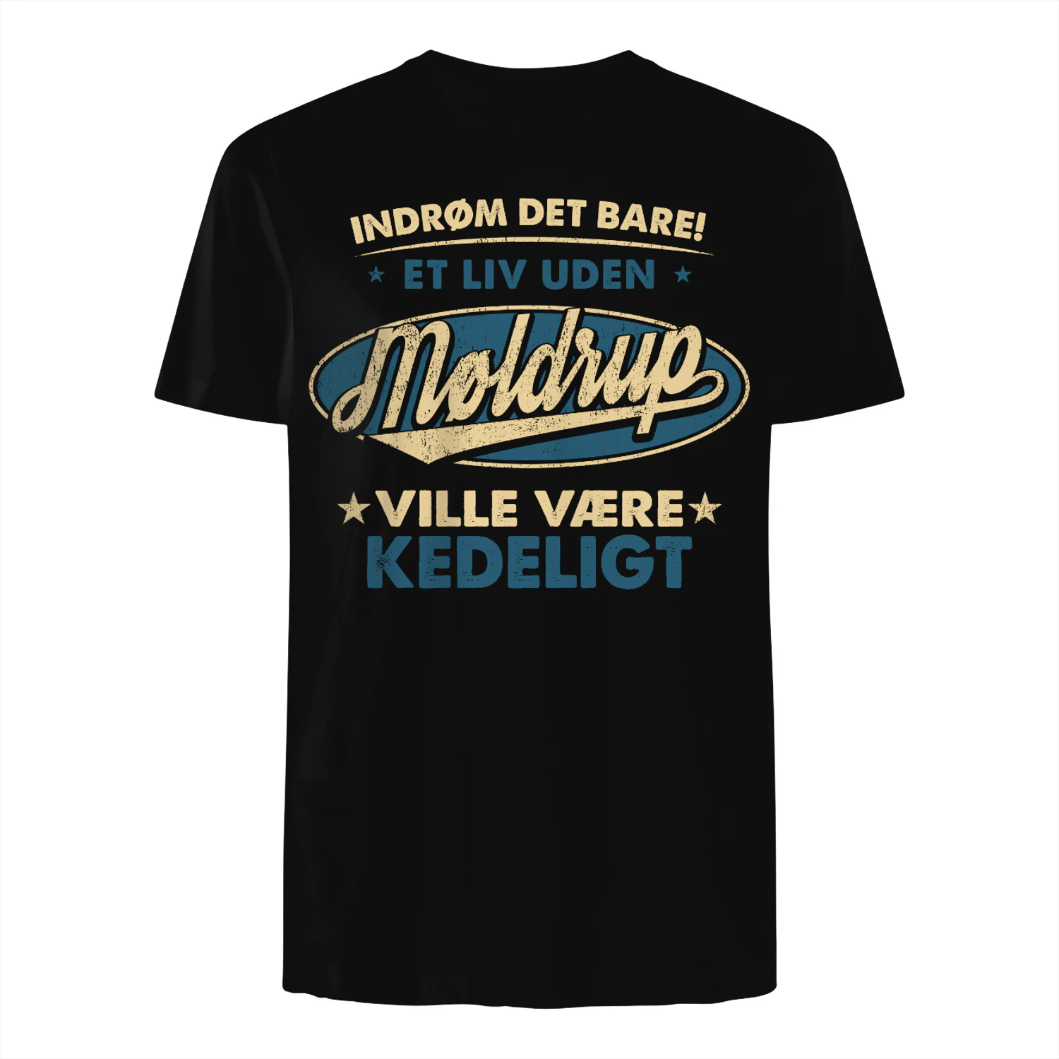 T1DM1620 Møldrup DK04
