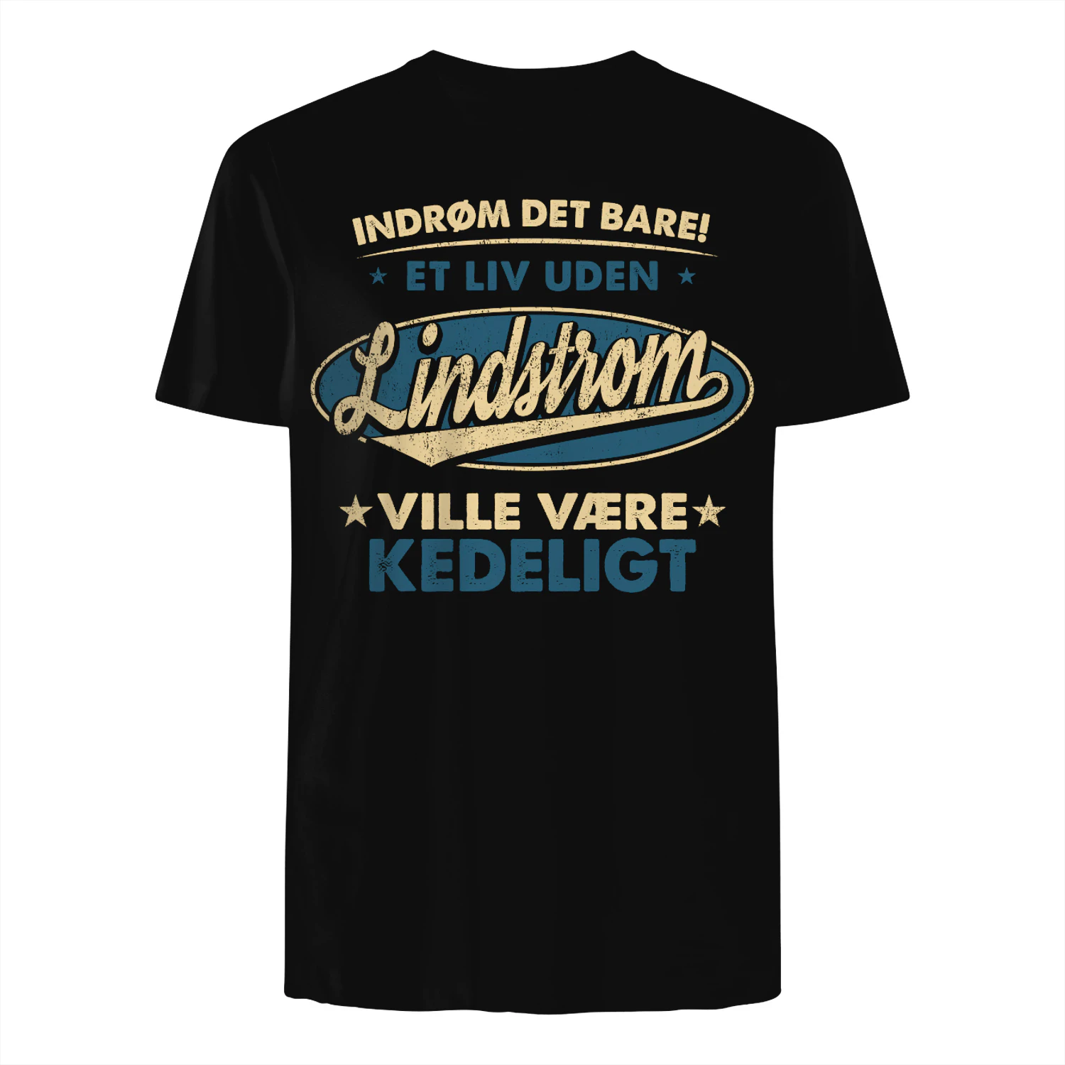 T1DM3116 Lindstrom DK04