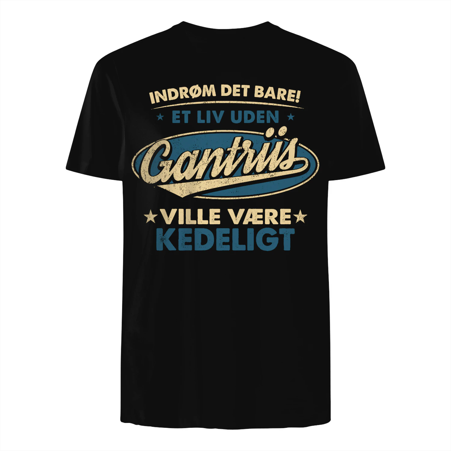 T1DM4671 Gantriis DK04