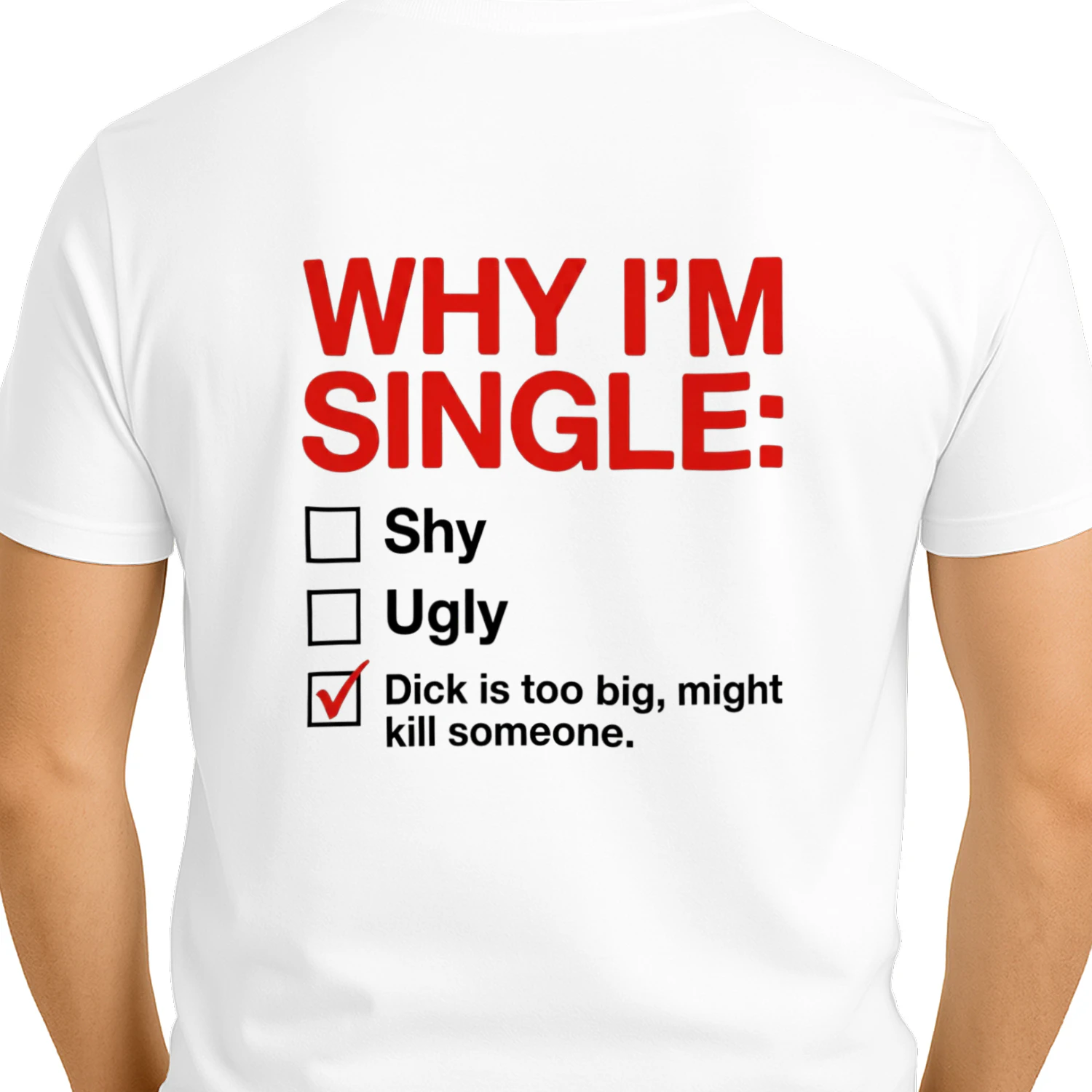 Why I'm Single Funny Adult Humor T-Shirt