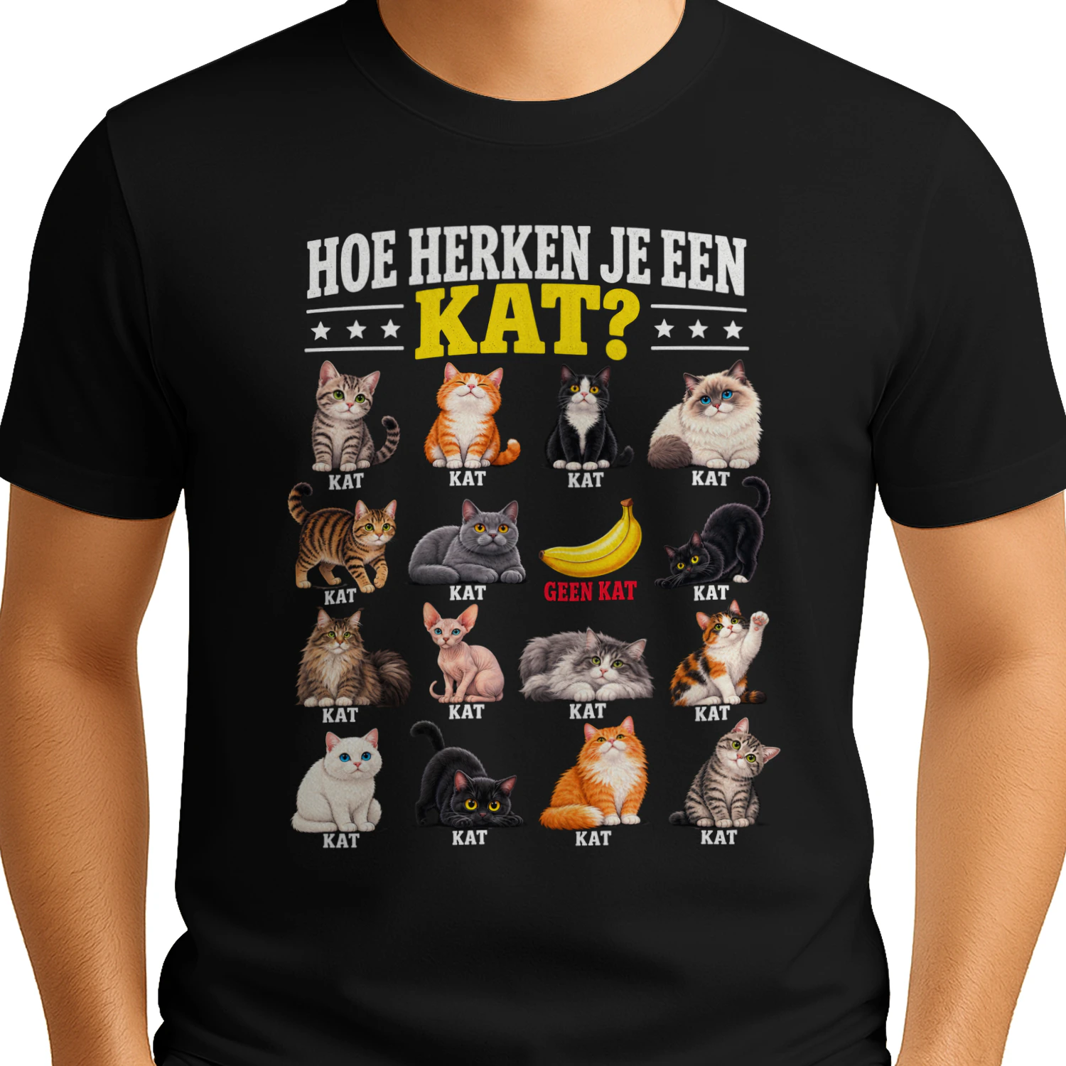 HOE HERKEN JE EEN KAT