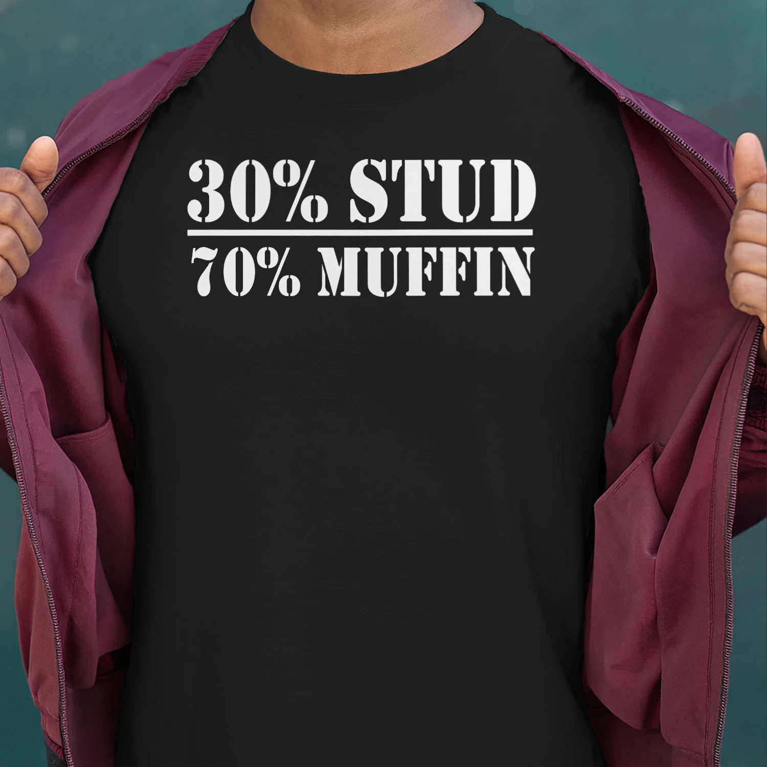30% Stud 70% Funny Personality Pun T-Shirt