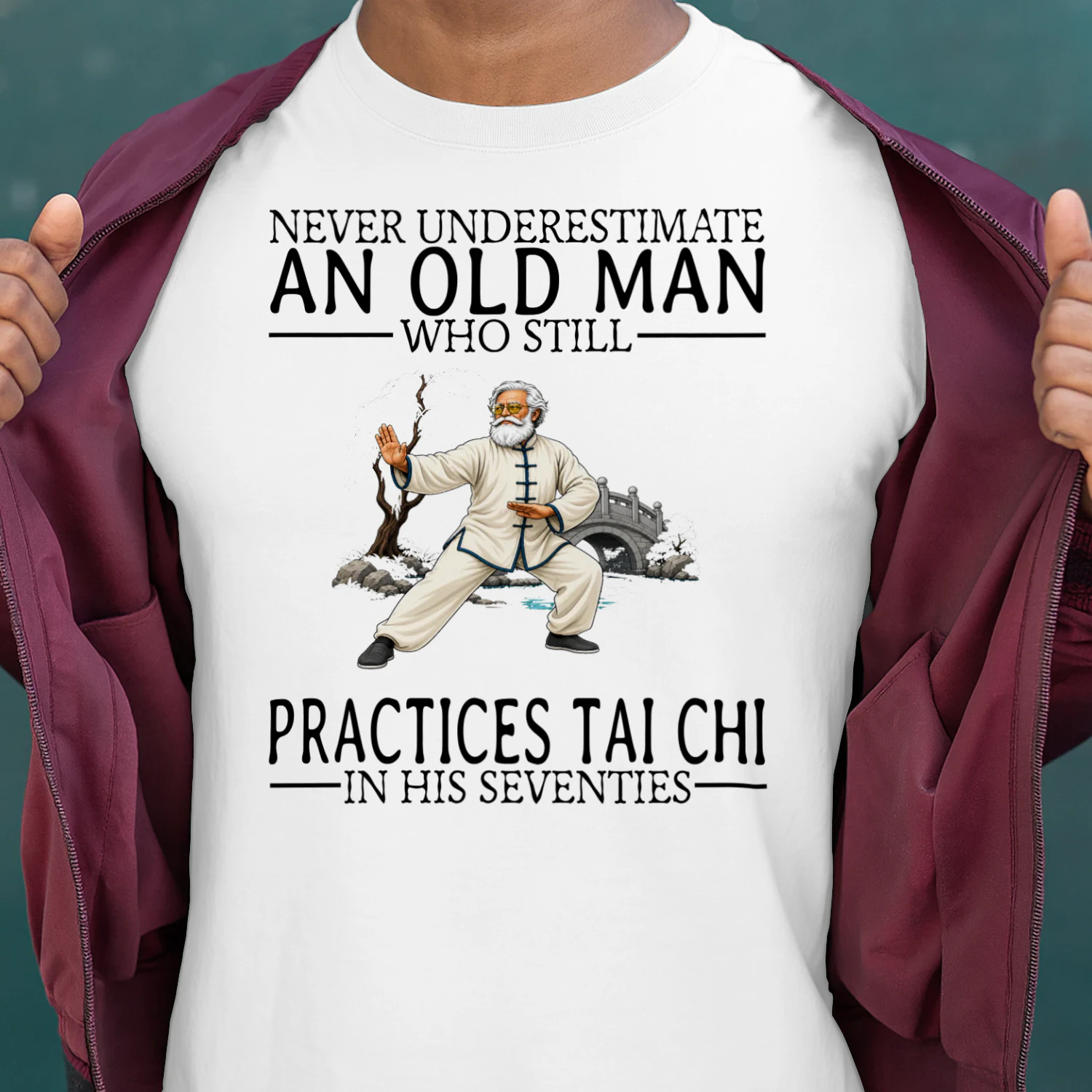 tai-chi-nv70-en410