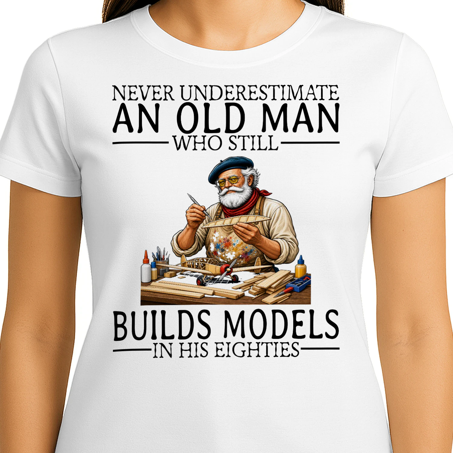 model-aircraft-building-nv80-en389
