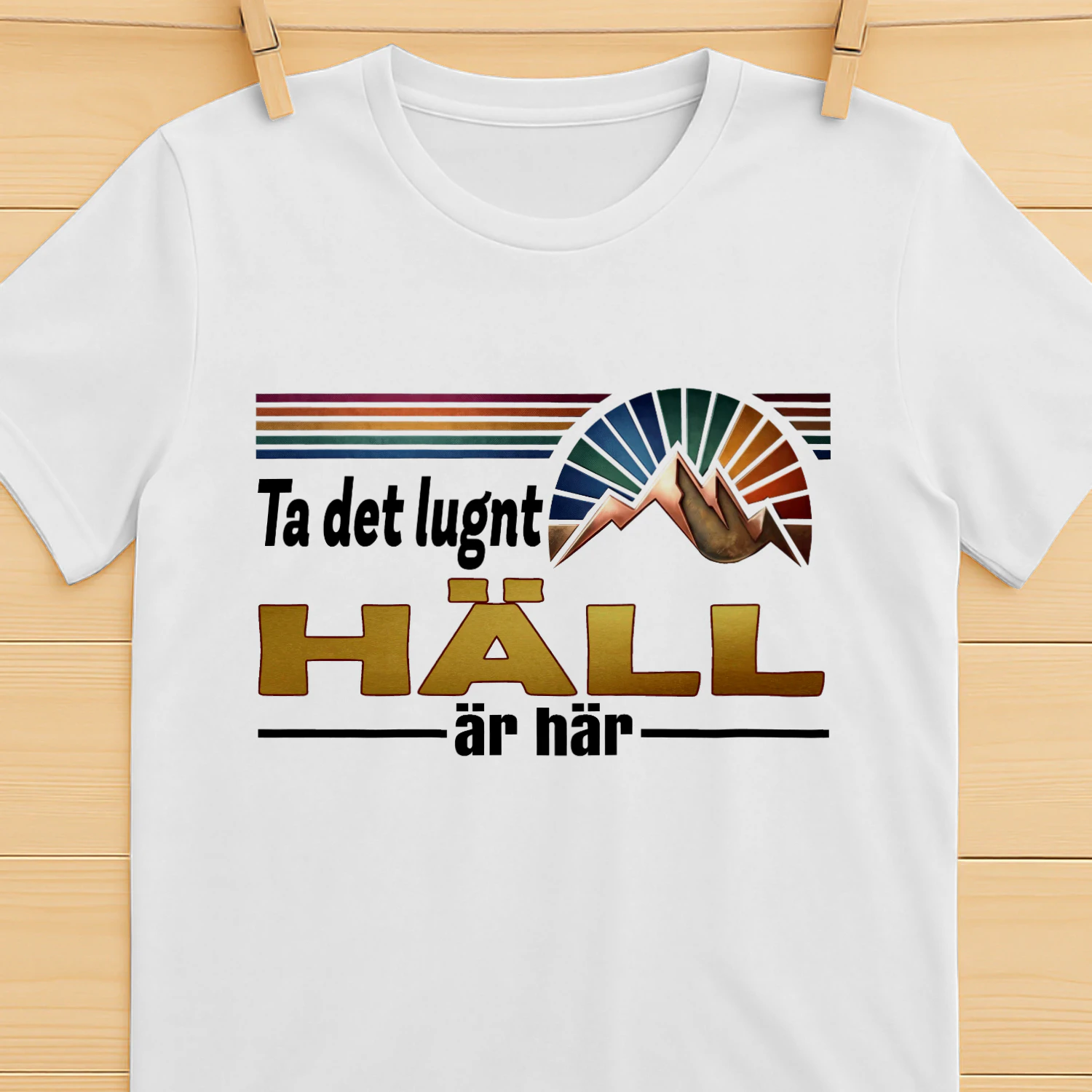 hall-fsew08-fse0739