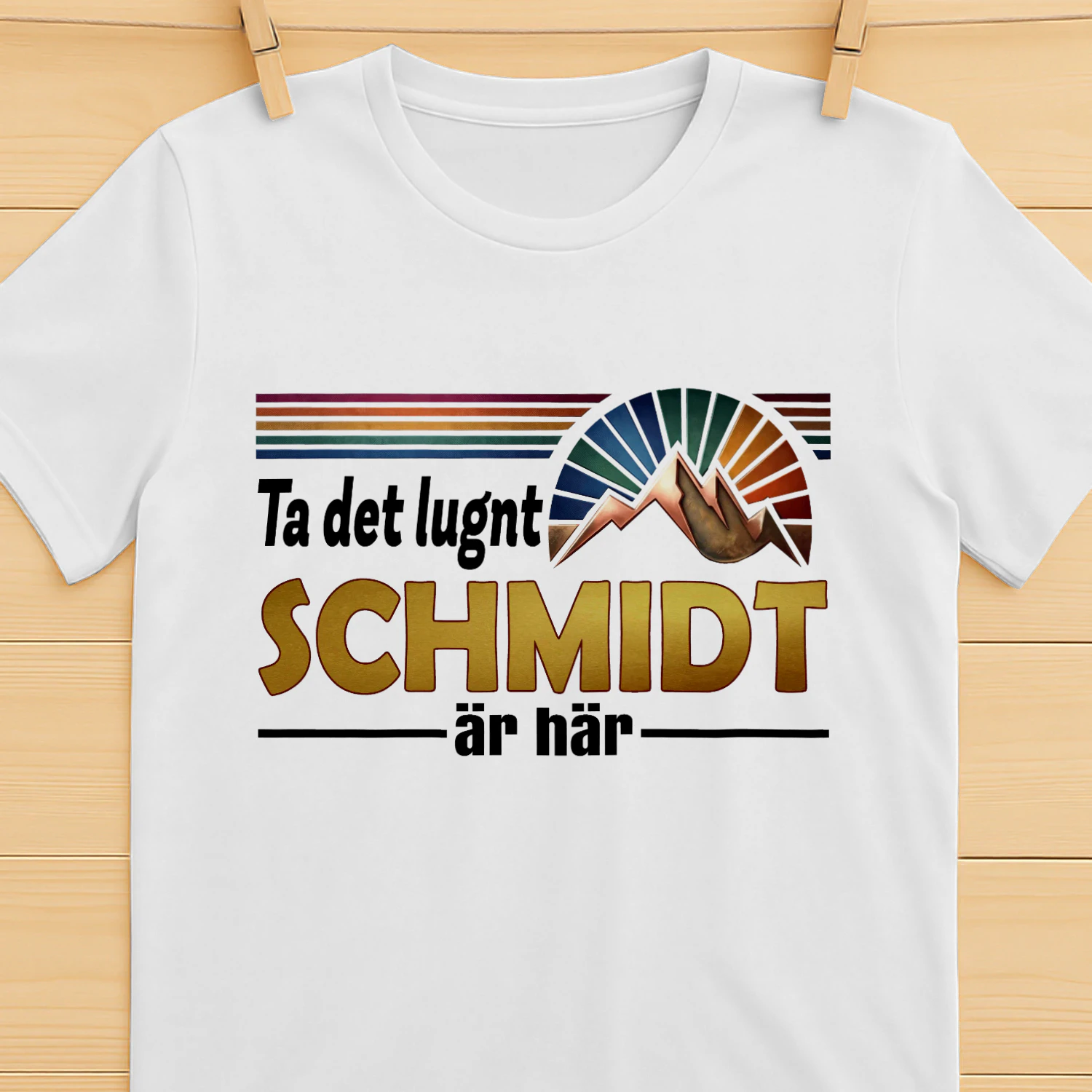 schmidt-fsew08-fse0420