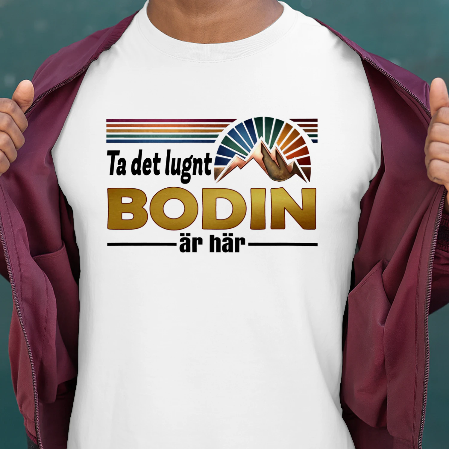 bodin-fsew08-fse0313