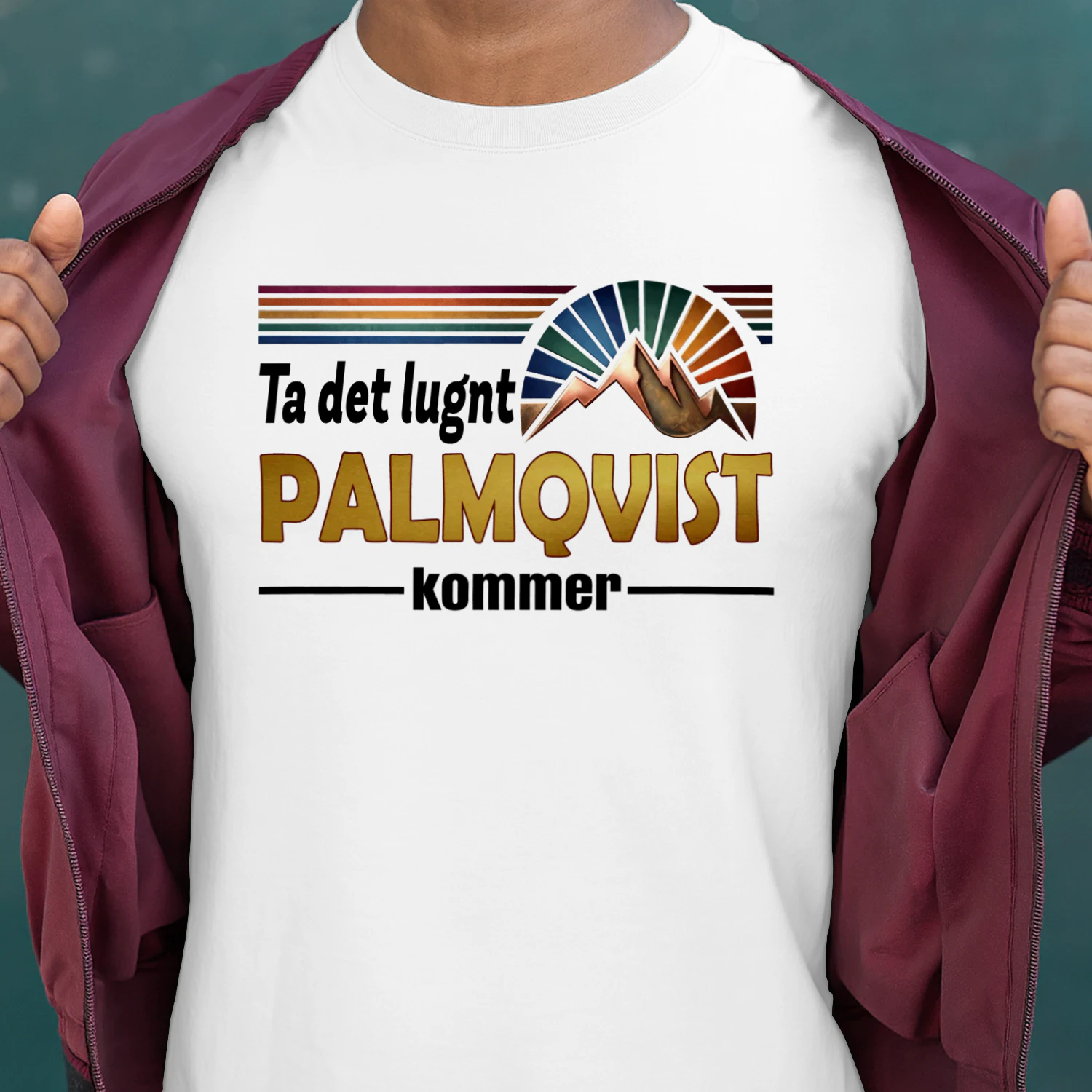 palmqvist-fsew09-fse0271