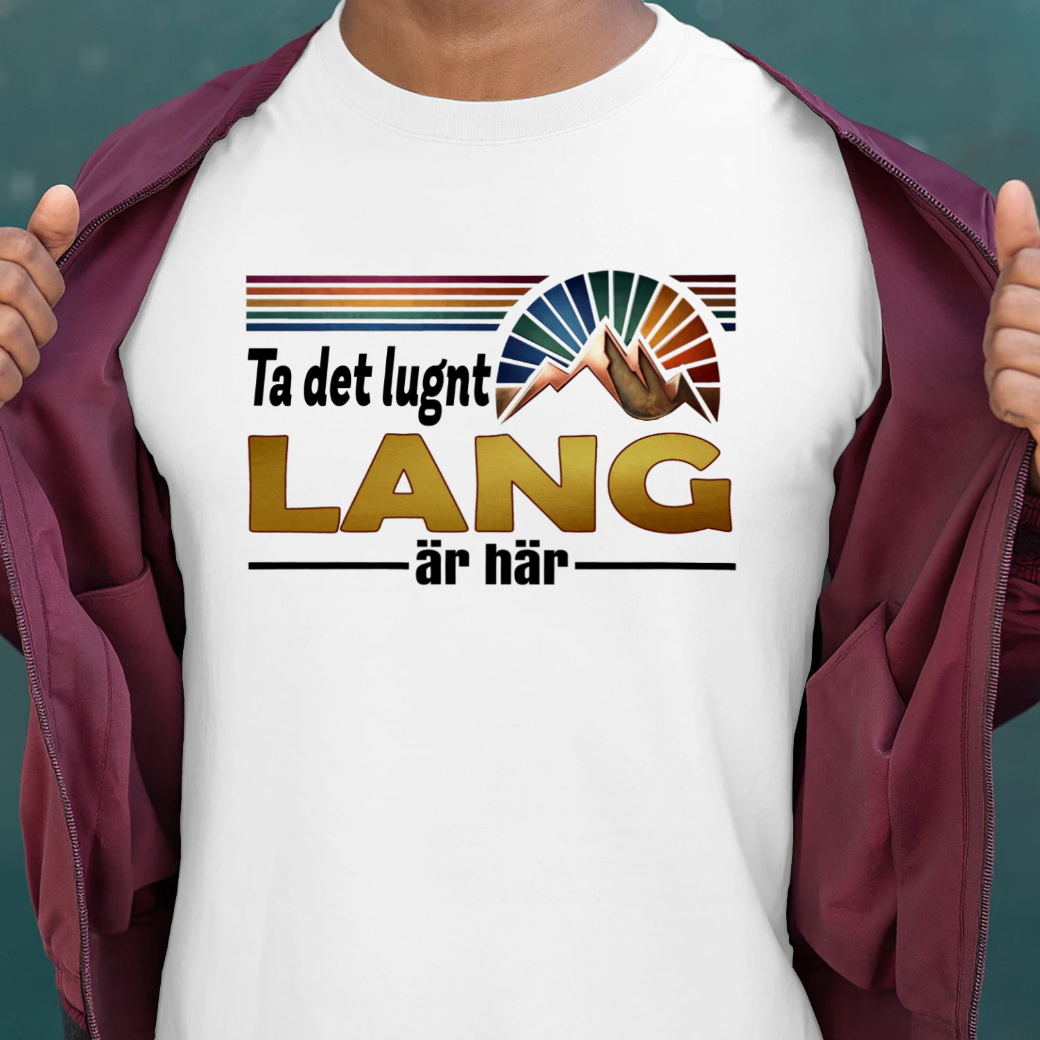 lang-fsew08-fse0862