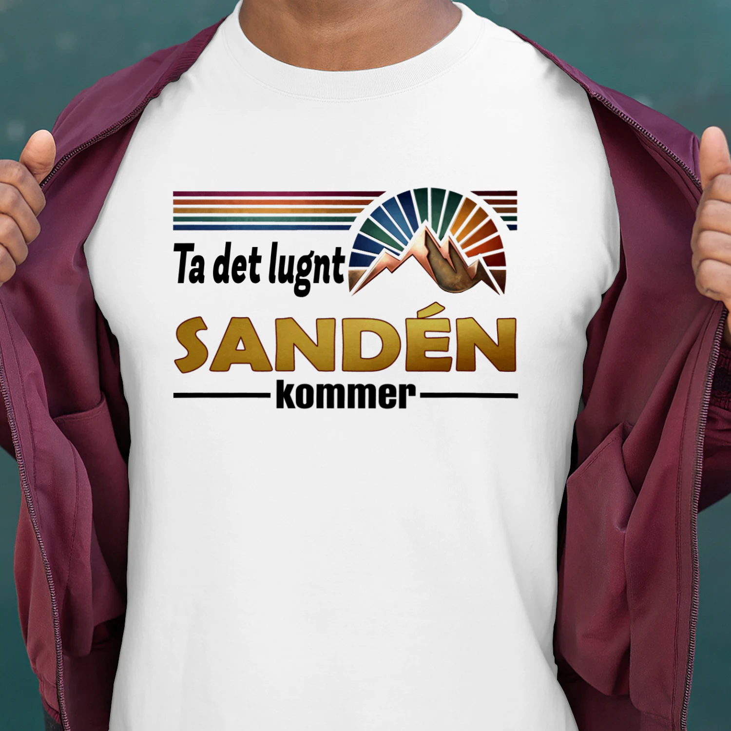 sanden-fsew09-fse0694