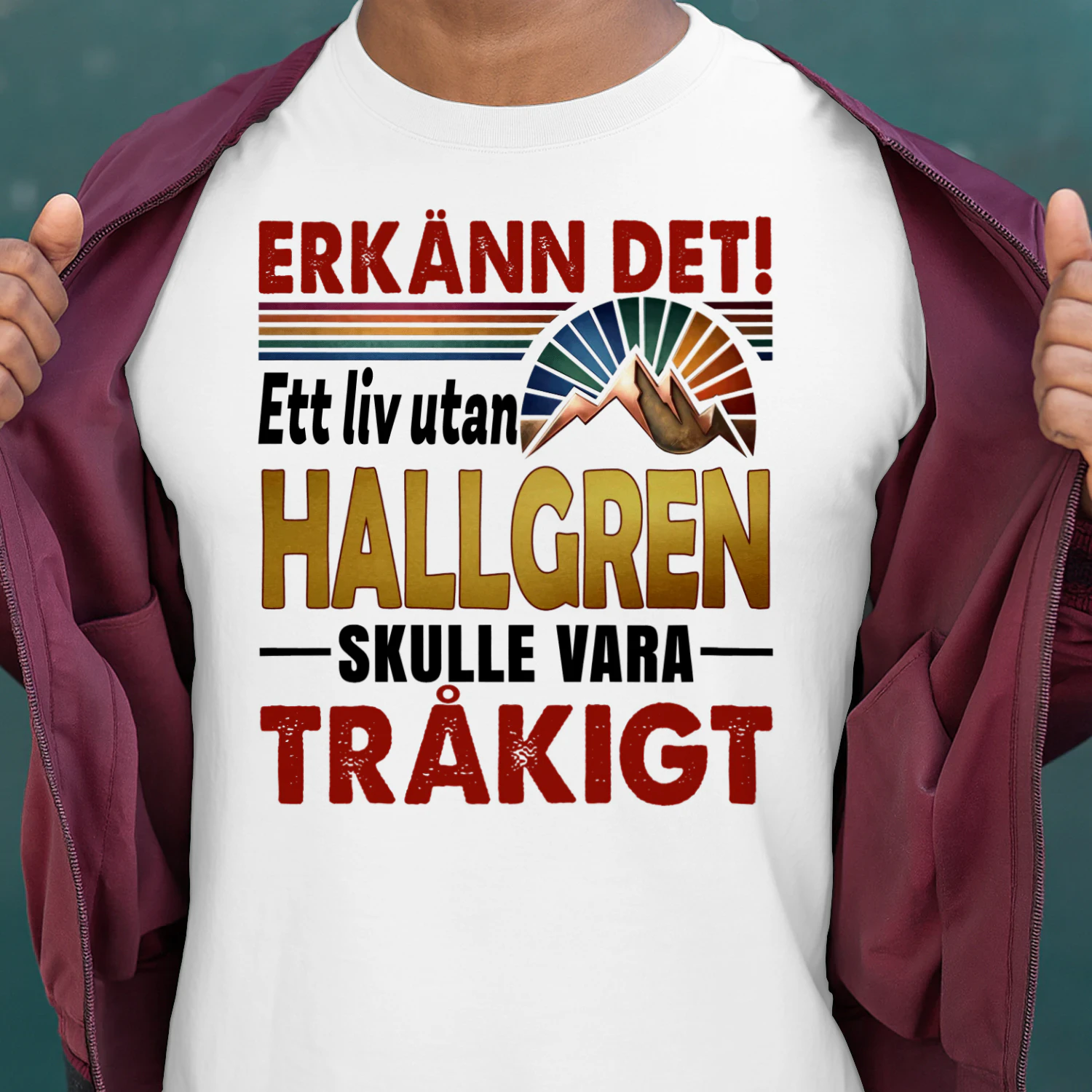 hallgren-fsew131-fse0263