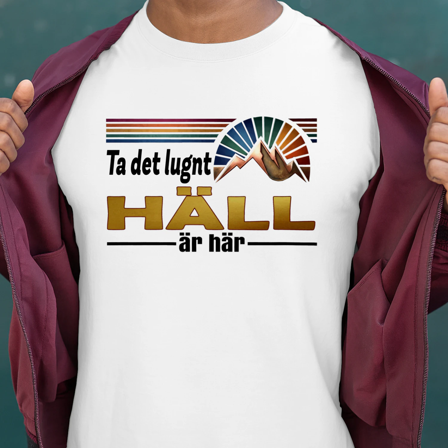 hall-fsew08-fse0739