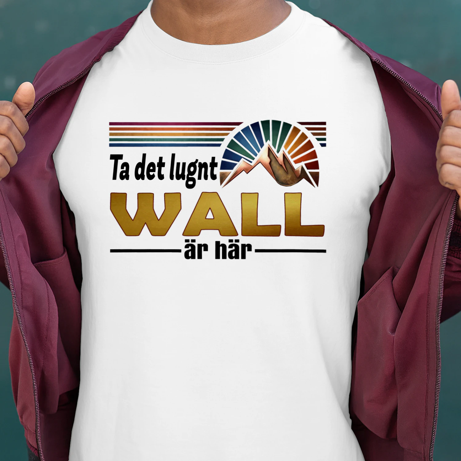 wall-fsew08-fse0292