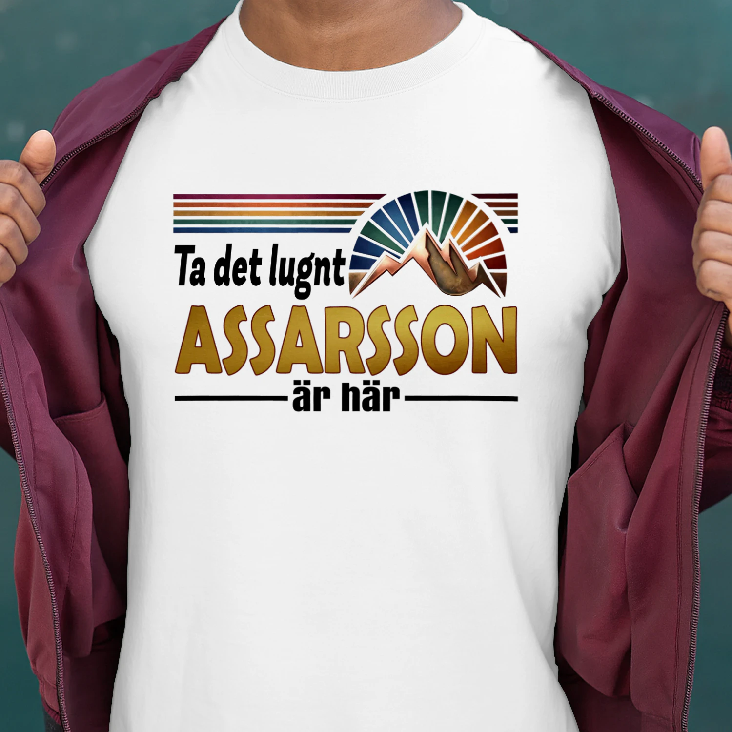 assarsson-fsew08-fse0944