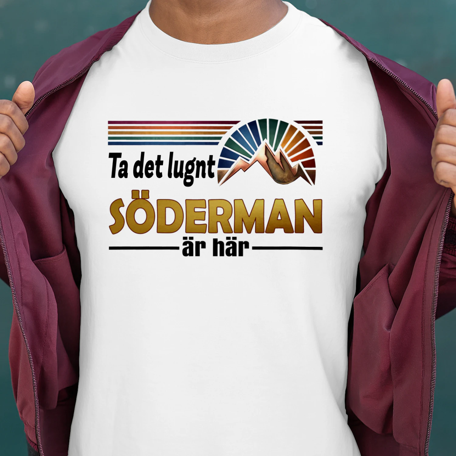 soderman-fsew08-fse0428