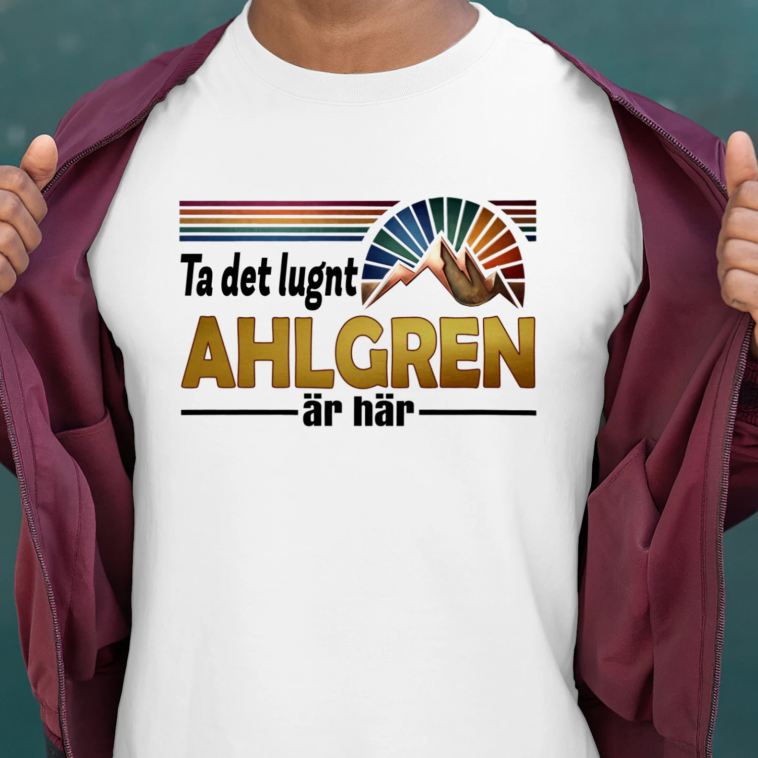 ahlgren-fsew08-fse0258