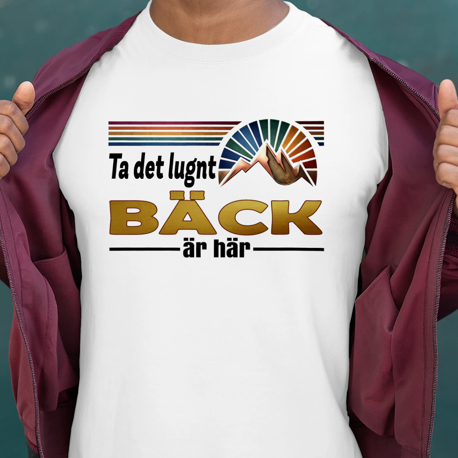 back-fsew08-fse0295