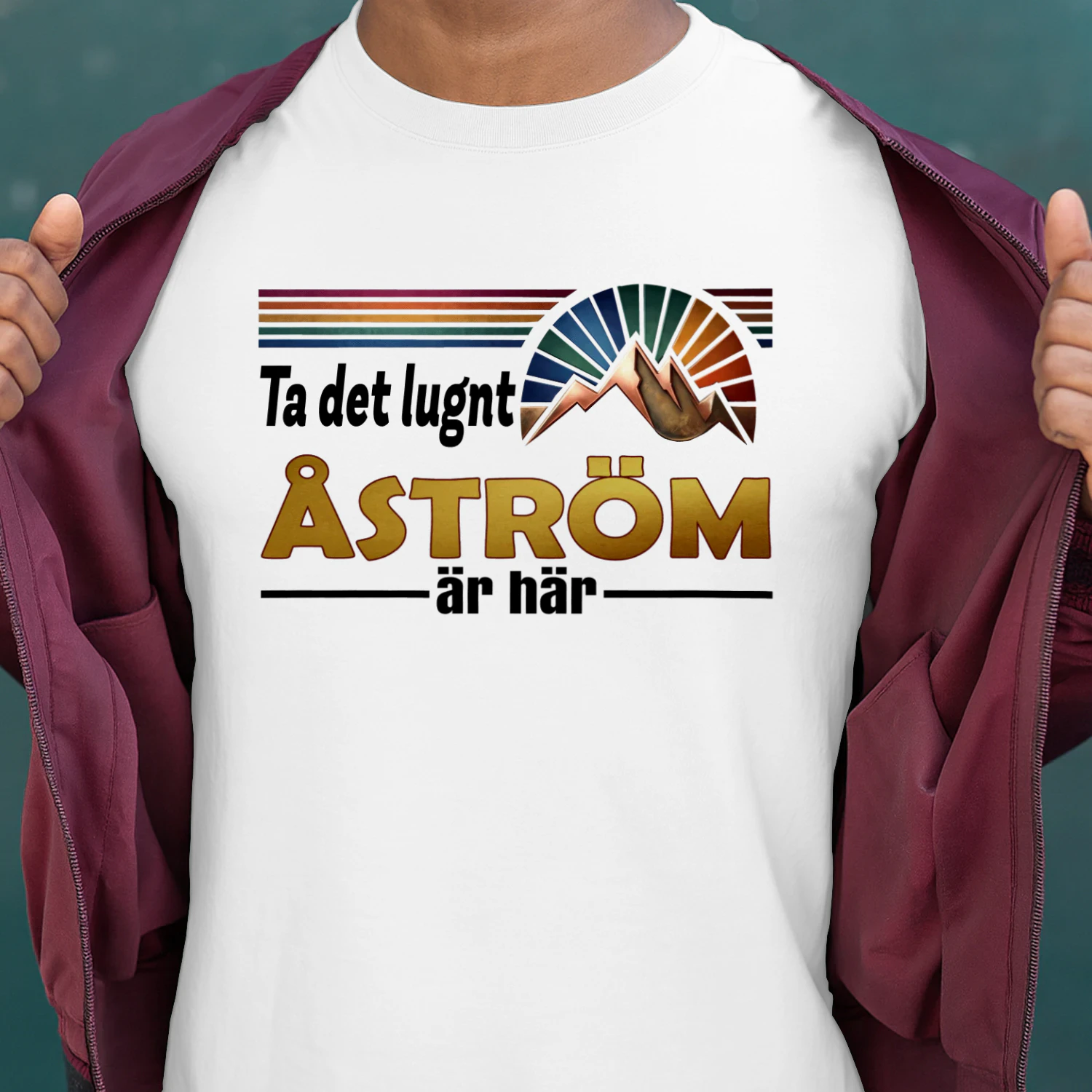 astrom-fsew08-fse0099