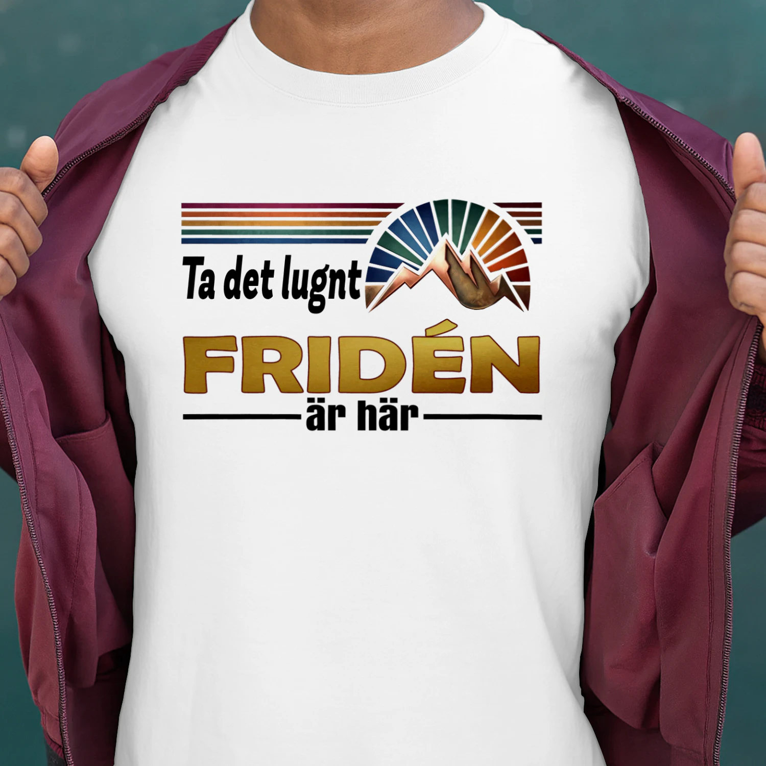 friden-fsew08-fse0864