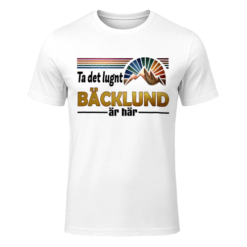 backlund-fsew08-fse0523