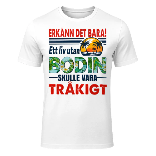 bodin-fse168-fse0313