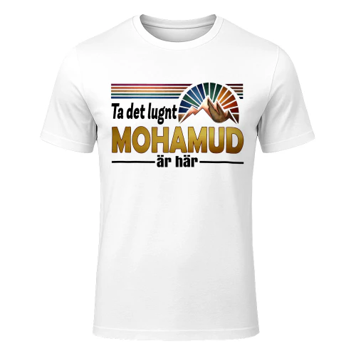 mohamud-fsew08-fse0881