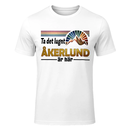 akerlund-fsew08-fse0302