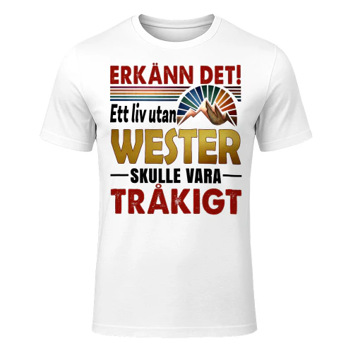 wester-fsew131-fse0381