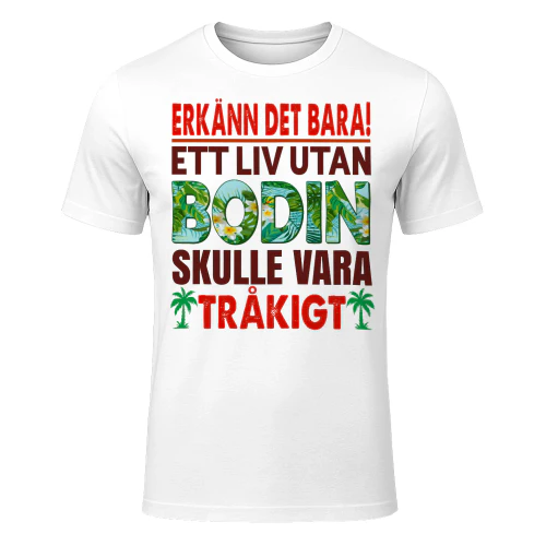 bodin-fse167-fse0313