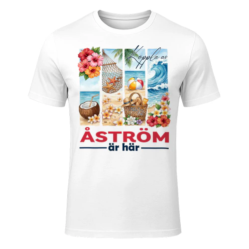 astrom-fse145-fse0099