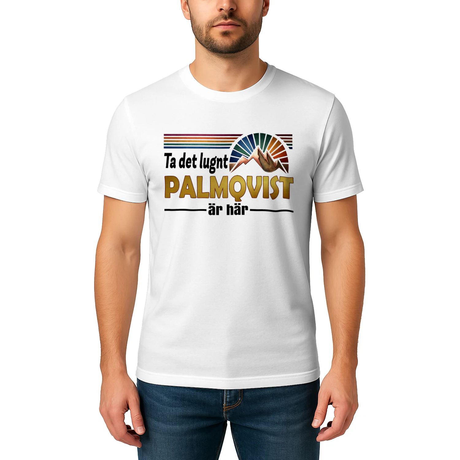 palmqvist-fsew08-fse0271
