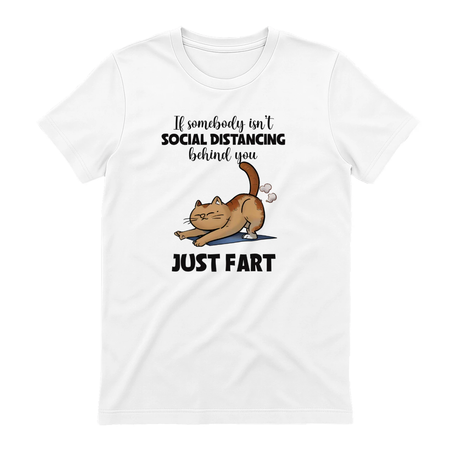 If Somebody Isn't Social Distancing Just Fart Cat