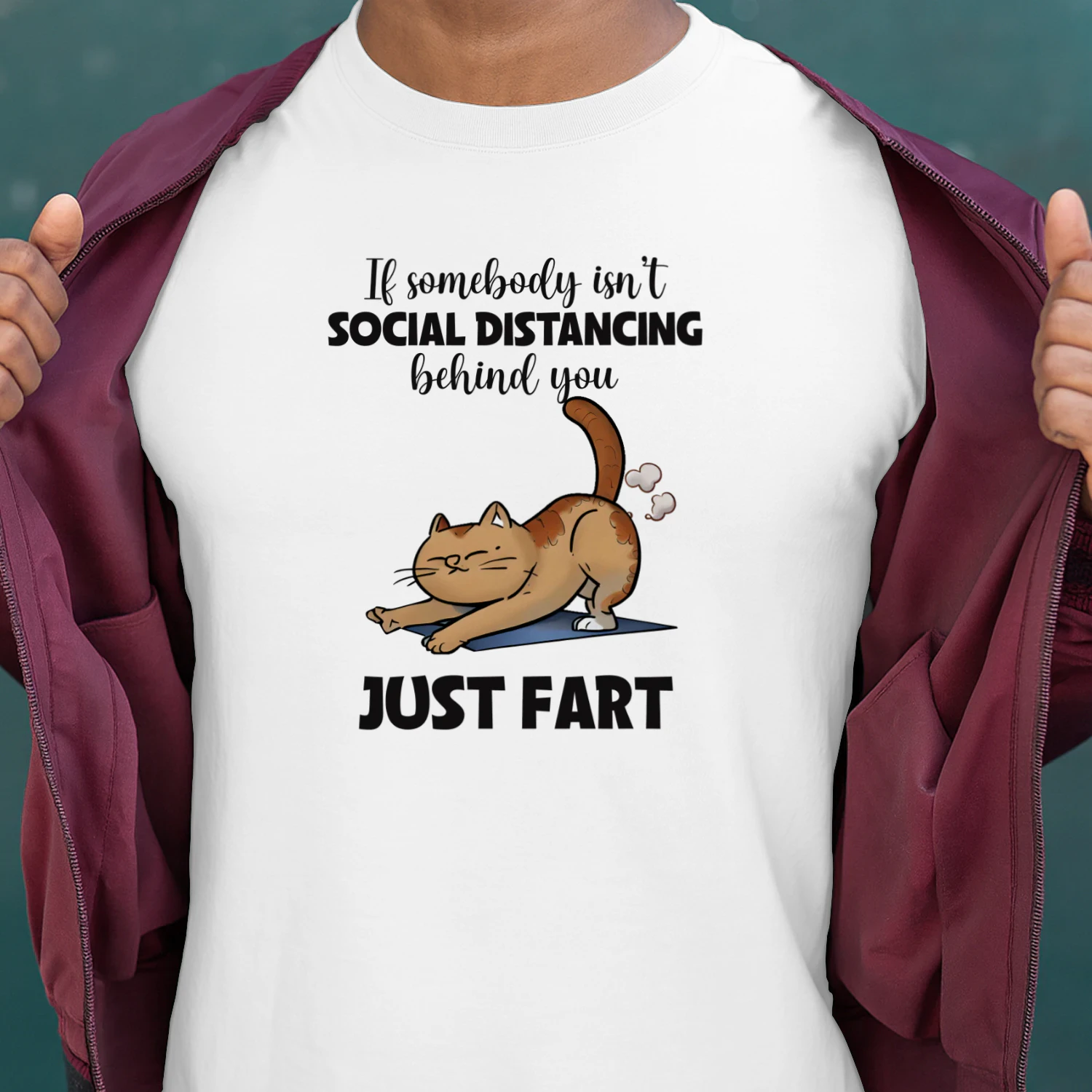 If Somebody Isn't Social Distancing Just Fart Cat