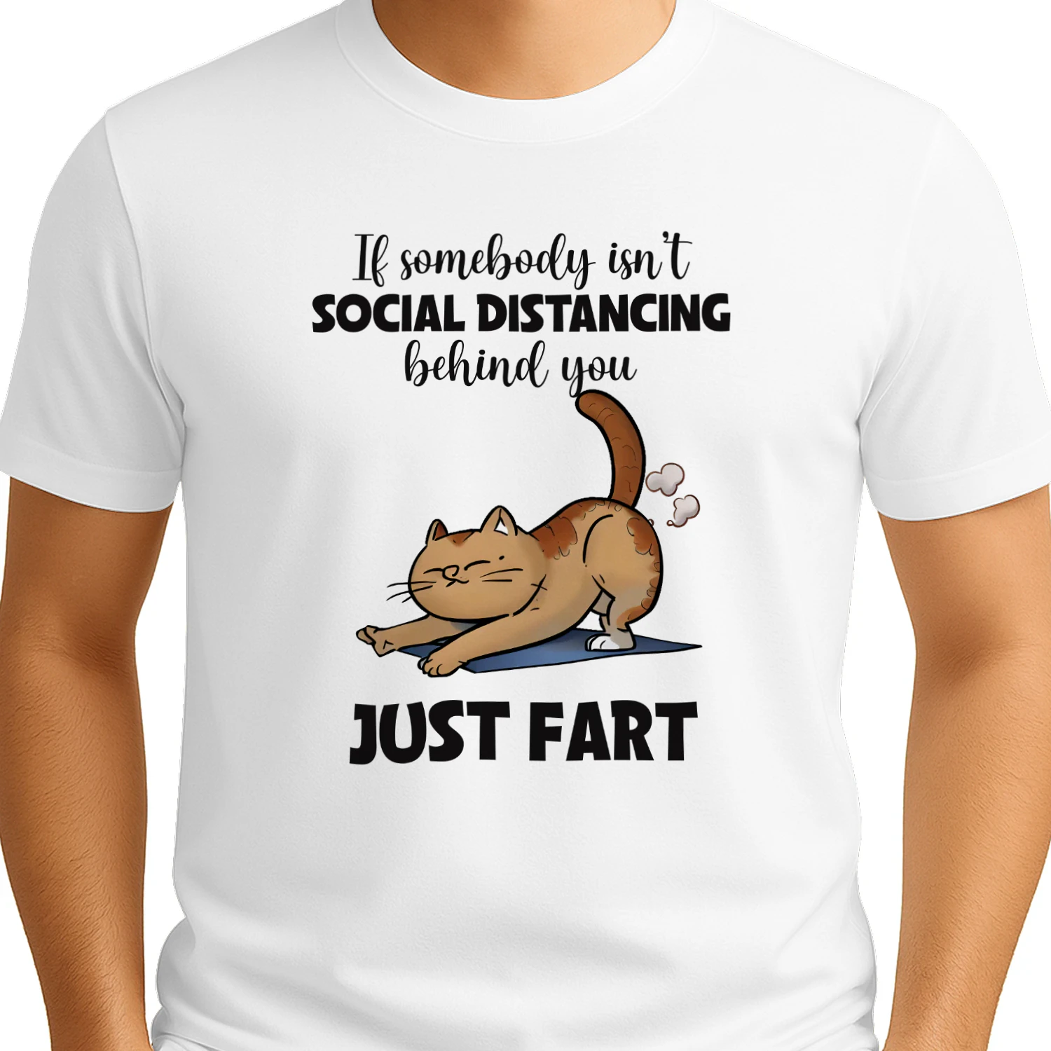 If Somebody Isn't Social Distancing Just Fart Cat