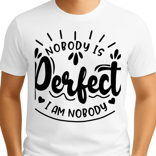 Nobody Is Perfect I Am Nobody
