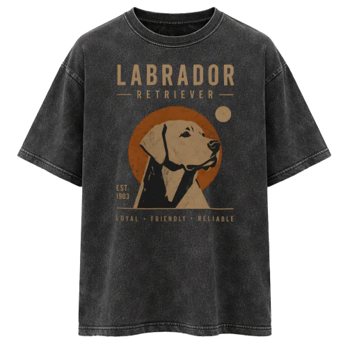 Labrador Retriever - Modern Edition
