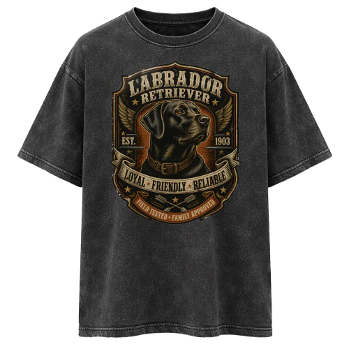 Labrador Retriever - Club Edition